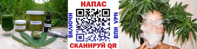 Cannafood конопля  Серафимович 