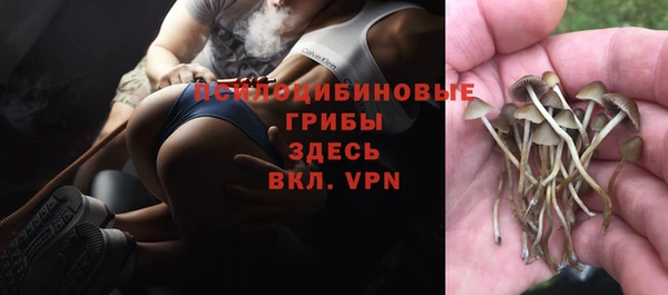винт Липки