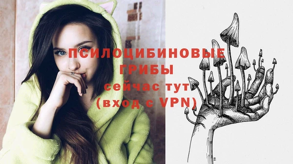 тгк Лихославль