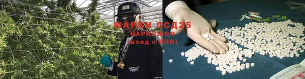 винт Липки